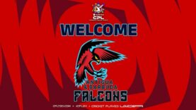 ANTIGUA & BARBUDA FALCONS UNVEILED AS NEW FRANCHISE IN REPUBLIC