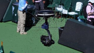 Bee invasion delays Carlos Alcaraz’s victory over Alexander Zverev at