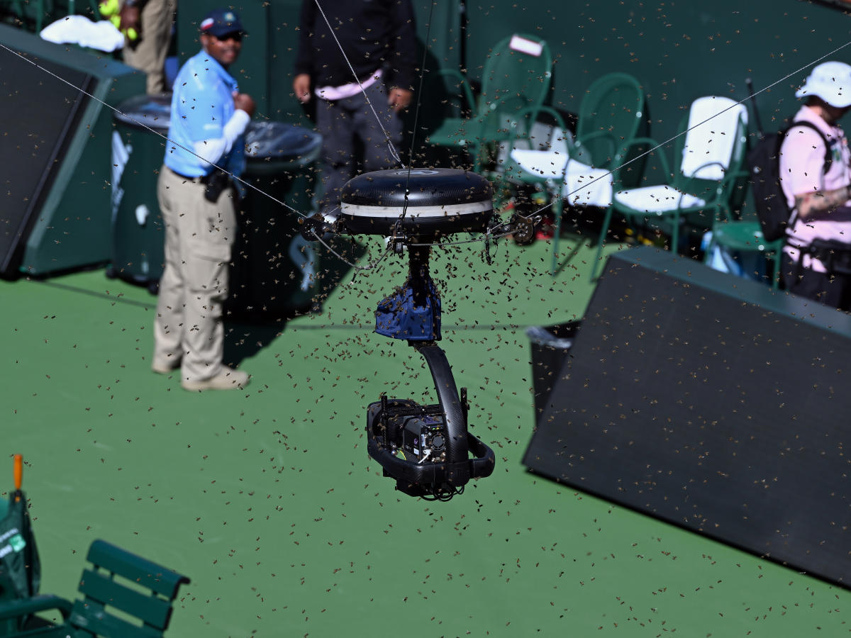 Bee invasion delays Carlos Alcaraz's victory over Alexander Zverev at Indian Wells quarterfinal match